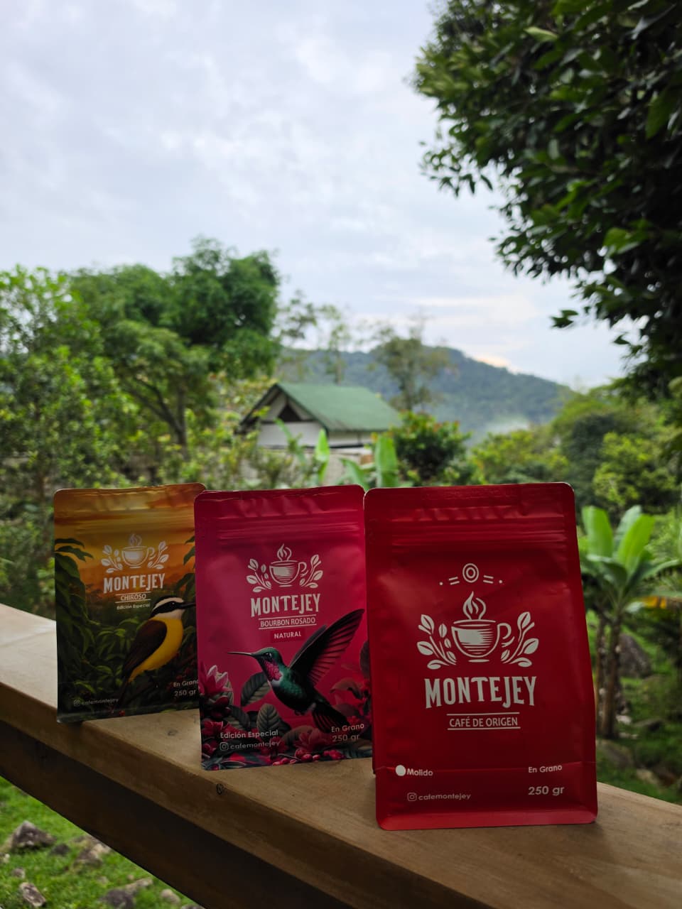 Montebello, Antioquia: El Terroir que hace único al Café Montejey