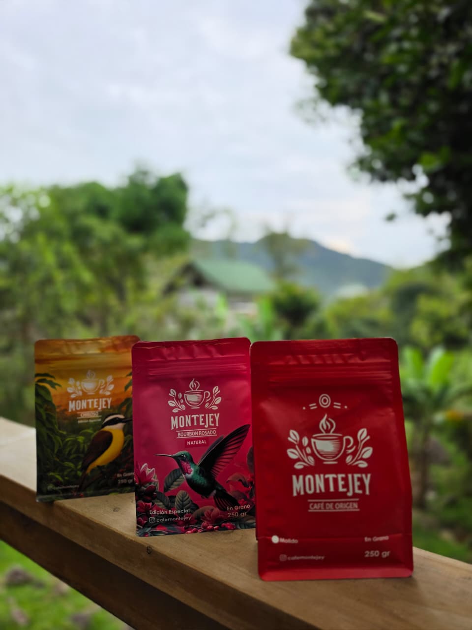 Cómo preparar el café perfecto en Prensa Francesa